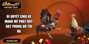 Mẹo Đá Gà - - JUKOVE.LOL