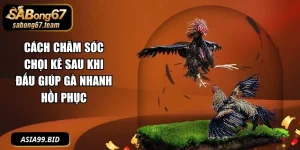 Cách Nuôi Gà Đá - - JUKOVE.LOL