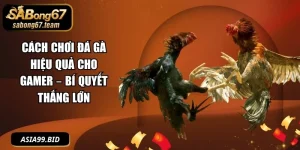 Đá Gà - - JUKOVE.LOL