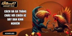 Mẹo Đá Gà - - JUKOVE.LOL