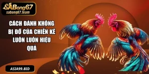 Mẹo Đá Gà - - JUKOVE.LOL