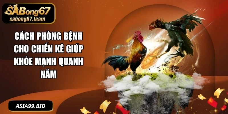 Cách Phòng Bệnh Cho Chiến Kê Giúp Khỏe Mạnh Quanh Năm - JUKOVE.LOL