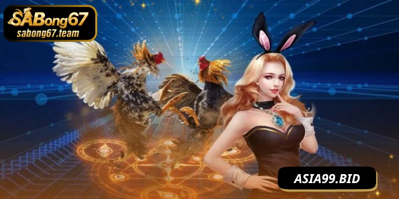 Đá Gà Bình Luận Viên – Linh Hồn Của Mỗi Trận Chiến Kê - JUKOVE.LOL