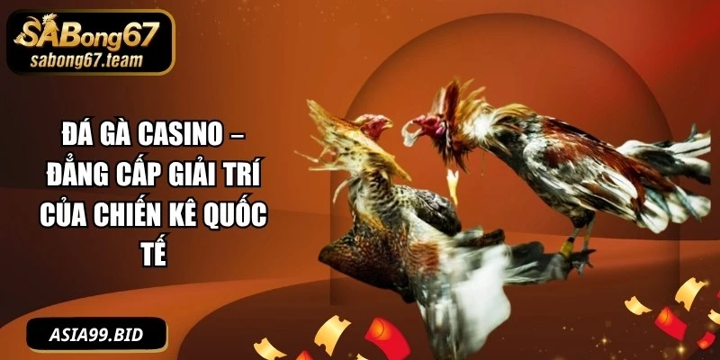 Đá Gà Casino – Đẳng Cấp Giải Trí Của Chiến Kê Quốc Tế - JUKOVE.LOL