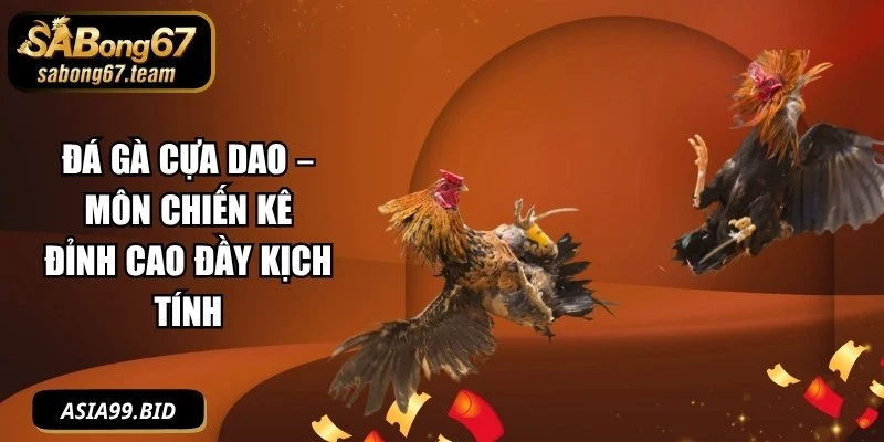 Đá Gà Cựa Dao – Môn Chiến Kê Đỉnh Cao Đầy Kịch Tính - JUKOVE.LOL
