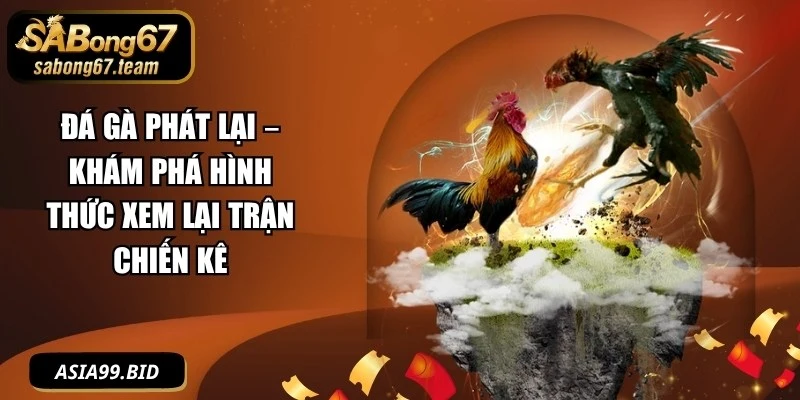 Đá Gà Phát Lại – Khám Phá Hình Thức Xem Lại Trận Chiến Kê - JUKOVE.LOL