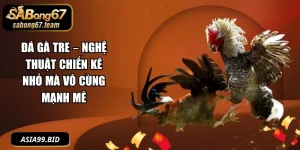 Đá Gà - - JUKOVE.LOL