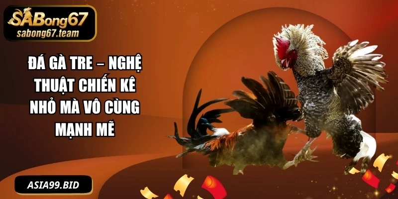 Đá Gà Tre – Nghệ Thuật Chiến Kê Nhỏ Mà Vô Cùng Mạnh Mẽ - JUKOVE.LOL