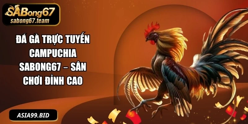 Đá Gà Trực Tuyến Campuchia SABONG67 – Sân Chơi Đỉnh Cao - JUKOVE.LOL