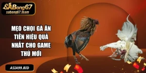 Mẹo Đá Gà - - JUKOVE.LOL
