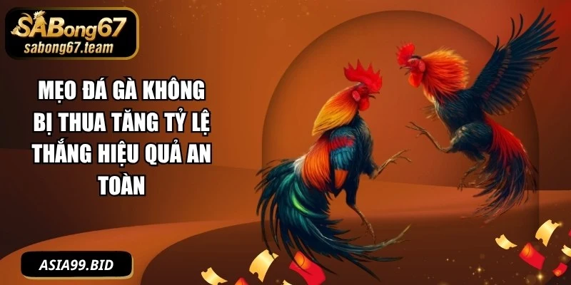 Mẹo Đá Gà Không Bị Thua Tăng Tỷ Lệ Thắng Hiệu Quả An Toàn - JUKOVE.LOL