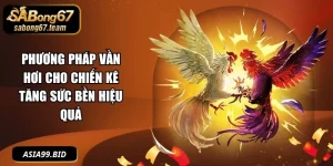Cách Nuôi Gà Đá - - JUKOVE.LOL