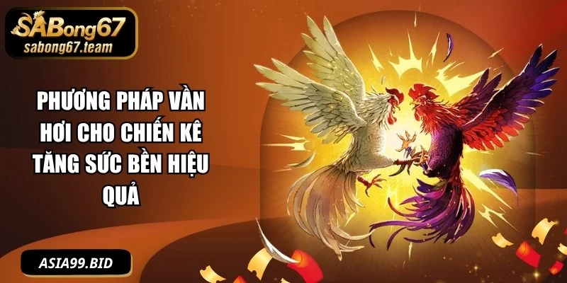 Phương Pháp Vần Hơi Cho Chiến Kê Tăng Sức Bền Hiệu Quả - JUKOVE.LOL