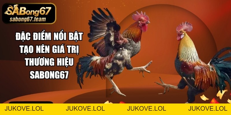 SABONG67 – Đá Gà Trực Tiếp C1C2C3C4C5C6C7 Hàng Đầu Châu Á 26 - JUKOVE.LOL