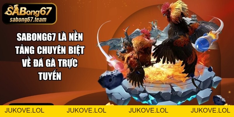 SABONG67 – Đá Gà Trực Tiếp C1C2C3C4C5C6C7 Hàng Đầu Châu Á 26 - JUKOVE.LOL