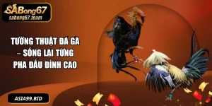 Đá Gà - - JUKOVE.LOL