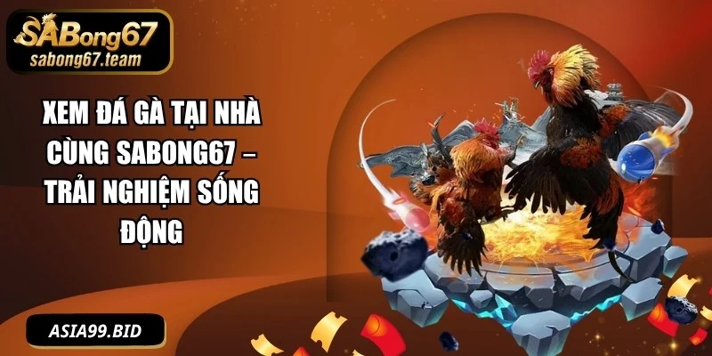 Xem Đá Gà Tại Nhà Cùng SABONG67 – Trải Nghiệm Sống Động - JUKOVE.LOL
